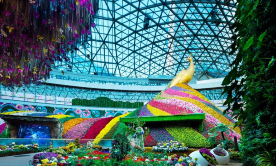 尊龙凯时 - 人生就是搏!