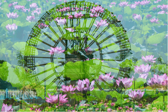 尊龙凯时 - 人生就是搏!