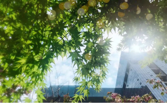 尊龙凯时 - 人生就是搏!